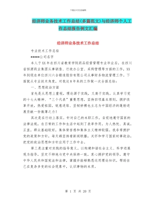 经济师业务技术工作总结与经济师个人工作总结报告例文汇编