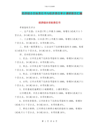 经济综合目标责任书与经济责任审计调研报告汇编
