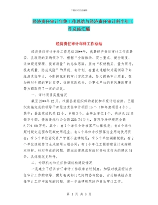 经济责任审计年终工作总结与经济责任审计科半年工作总结汇编