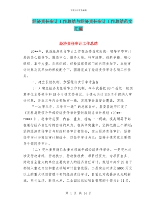 经济责任审计工作总结与经济责任审计工作总结范文汇编