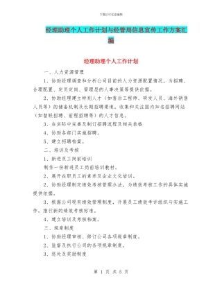 经理助理个人工作计划与经管局信息宣传工作方案汇编