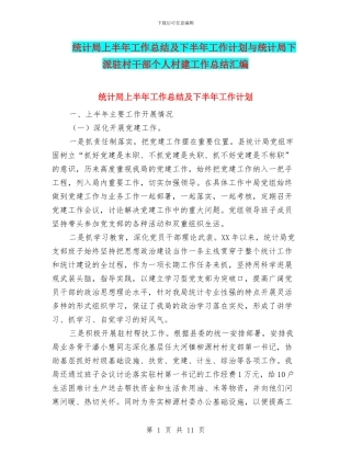 统计局上半年工作总结及下半年工作计划与统计局下派驻村干部个人村建工作总结汇编