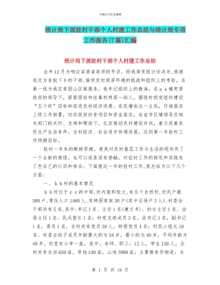 统计局下派驻村干部个人村建工作总结与统计局专项工作报告汇编
