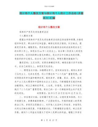 统计局个人整改方案与统计局个人统计工作总结汇编