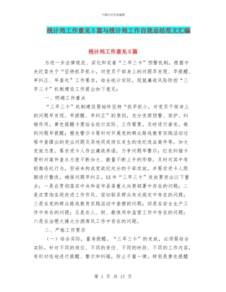 统计局工作意见5篇与统计局工作自我总结范文汇编