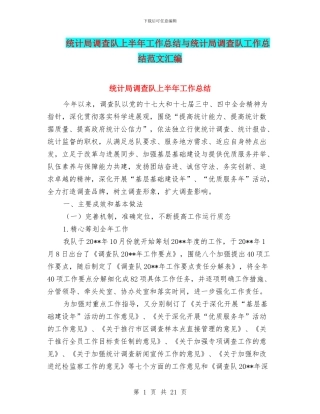 统计局调查队上半年工作总结与统计局调查队工作总结范文汇编