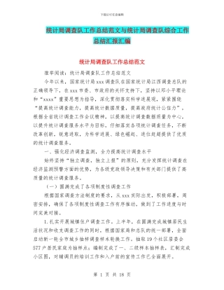 统计局调查队工作总结范文与统计局调查队综合工作总结汇报汇编