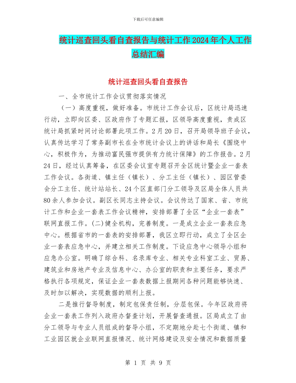 统计巡查回头看自查报告与统计工作2024年个人工作总结汇编_第1页
