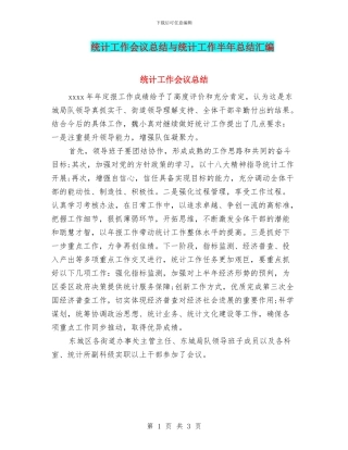 统计工作会议总结与统计工作半年总结汇编
