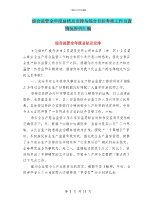 综合监管全年度总结及安排与综合目标考核工作自查情况报告汇编