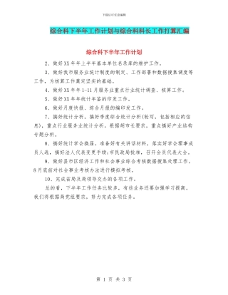综合科下半年工作计划与综合科科长工作打算汇编