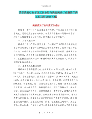 美容美发行业年度工作总结与美容美发行业整治年终工作总结2024汇编