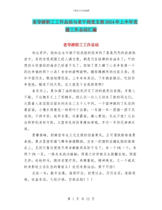老导游职工工作总结与老干局党支部2024年上半年党建工作总结汇编