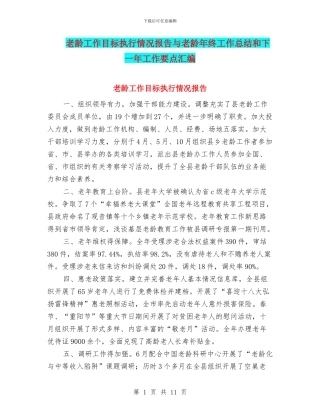 老龄工作目标执行情况报告与老龄年终工作总结和下一年工作要点汇编