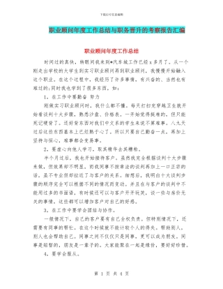 职业顾问年度工作总结与职务晋升的考察报告汇编