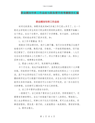 职业顾问年终工作总结与职务晋升的考察报告汇编