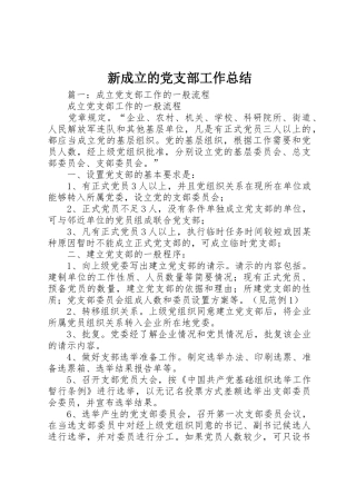 新成立的党支部工作总结