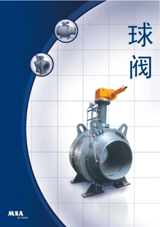 02MSA球阀样本中文版