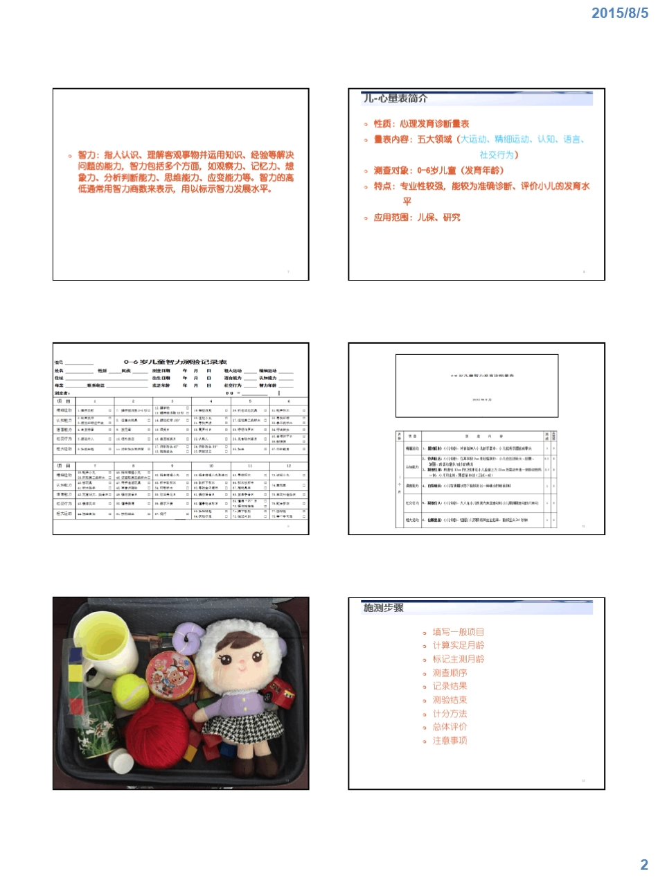 06岁小儿神经心理发育诊断量表_第2页