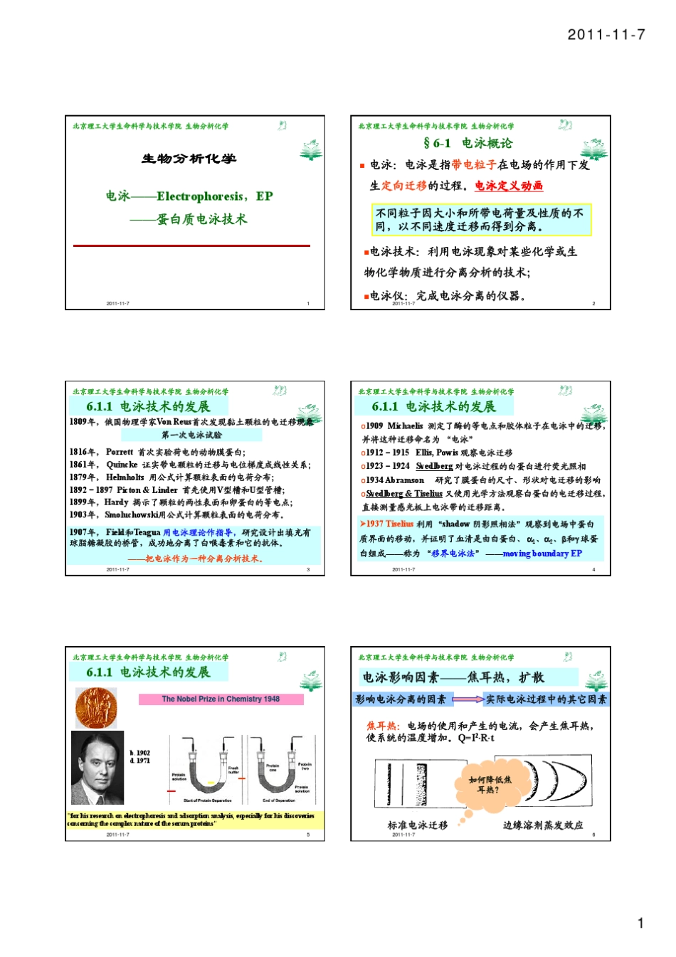 06电泳蛋白质电泳技术toS_第1页