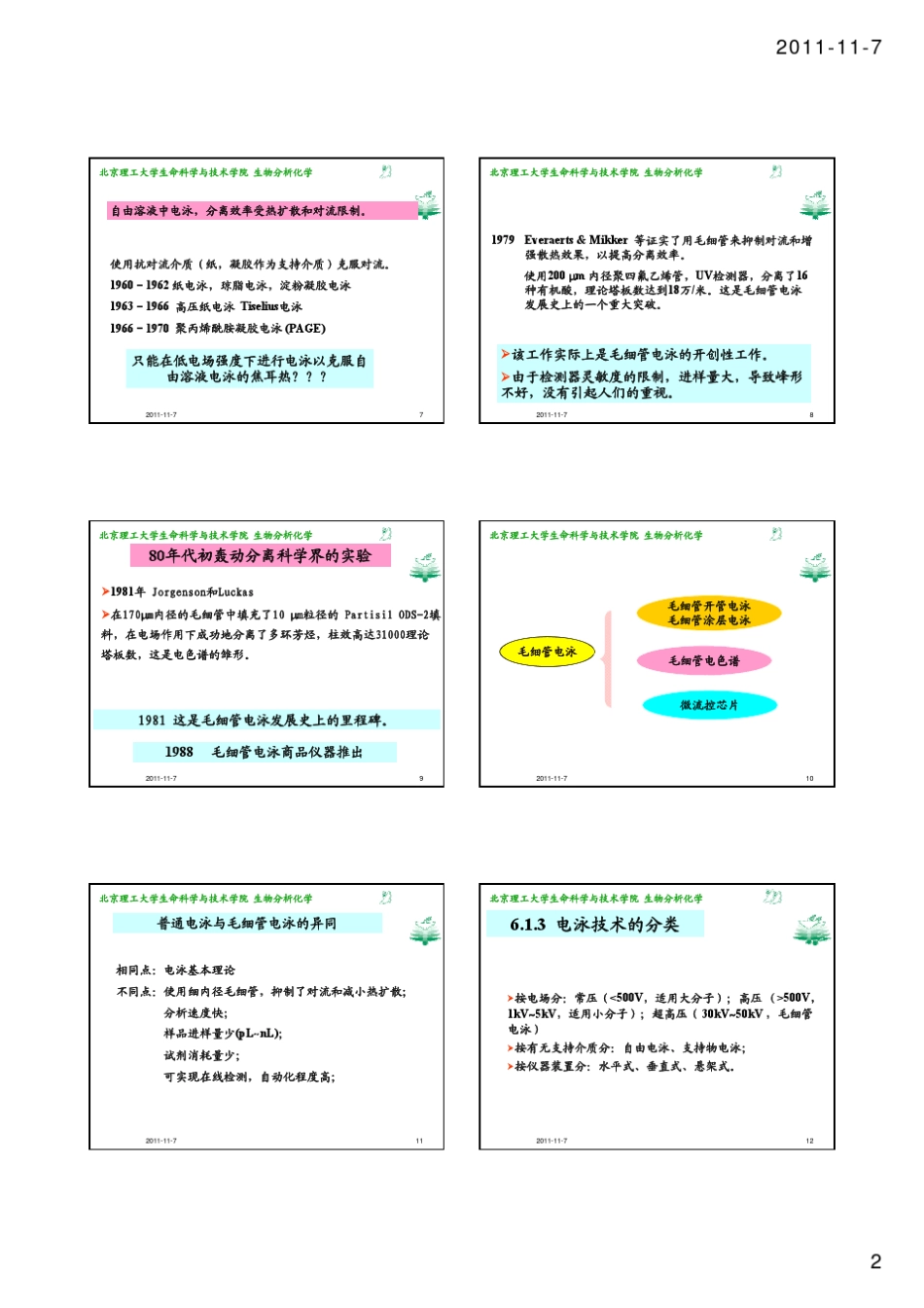 06电泳蛋白质电泳技术toS_第2页