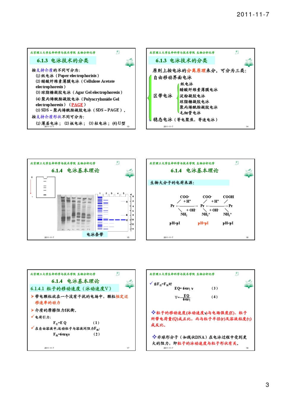 06电泳蛋白质电泳技术toS_第3页