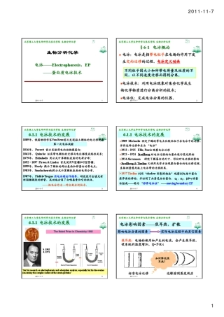 06电泳蛋白质电泳技术toS