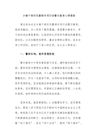 乡镇干部作风整顿专项行动警示教育心得感悟