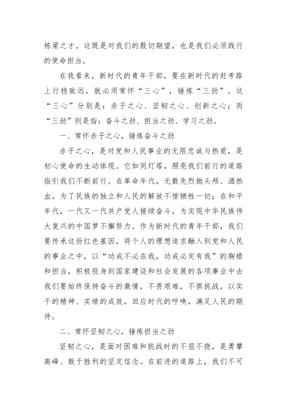 在青年干部座谈会上的交流发言：以“三心”铸魂，以“三劲”砺行，共绘青春奋斗蓝图_第2页