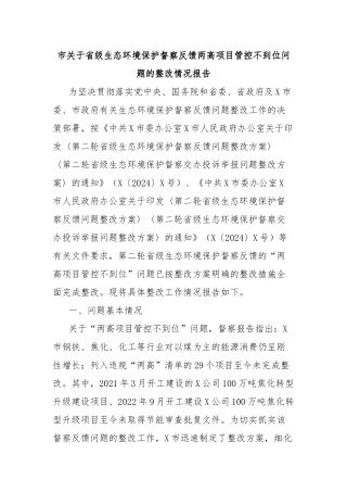 市关于省级生态环境保护督察反馈两高项目管控不到位问题的整改情况报告
