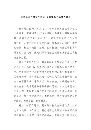 学思践悟“湾区”思维 展现青年“融湾”担当