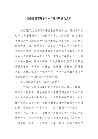 国企党委理论学习中心组巡听旁听点评