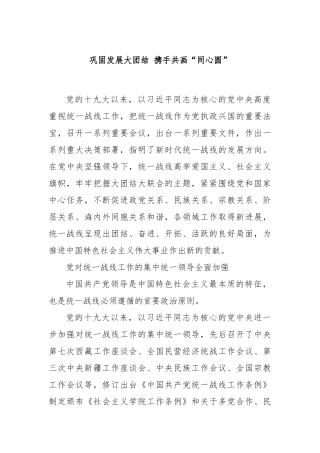 巩固发展大团结 携手共画“同心圆”