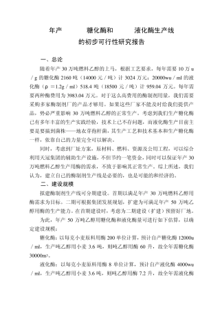 100万吨糖化酶、液化酶生产线实践初步可行性报告