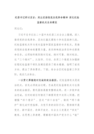 纪委书记研讨发言：突出发扬彻底自我革命精神 深化纪检监察机关自身建设