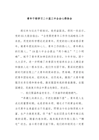 青年干部学习二十届三中全会心得体会