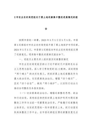 X市农业农村局党组关于黑土地巡察集中整改进展情况的报告