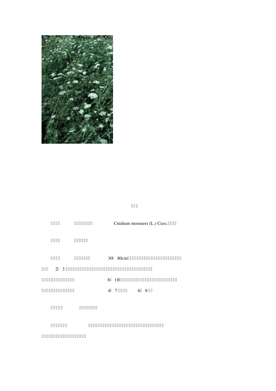 100种中草药彩色图谱_第3页