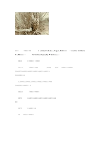 100种中草药彩色图谱