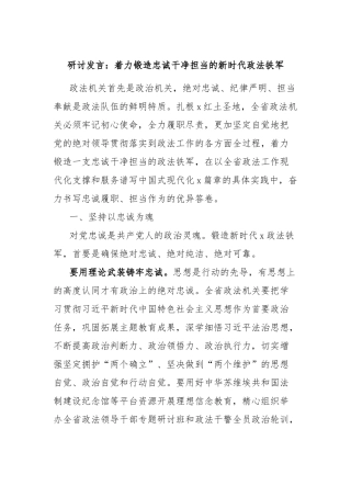 研讨发言：着力锻造忠诚干净担当的新时代政法铁军