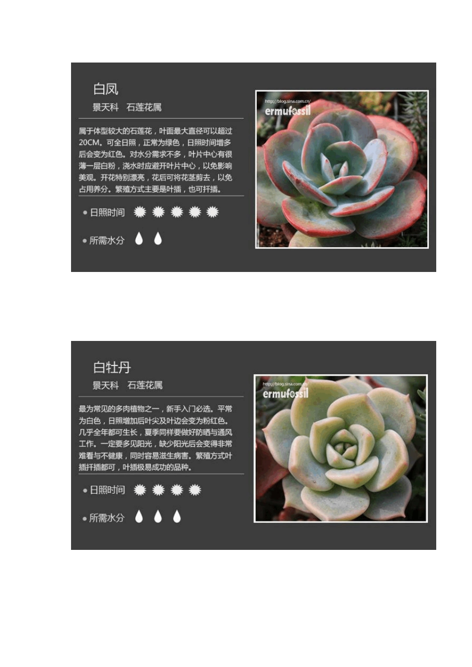 100种常见多肉植物图鉴_第2页