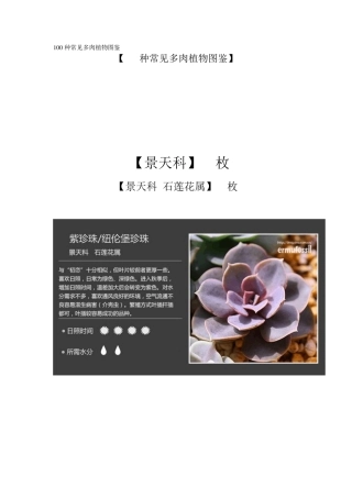 100种常见多肉植物图鉴