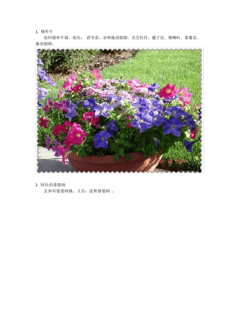 100种常见植物_第1页