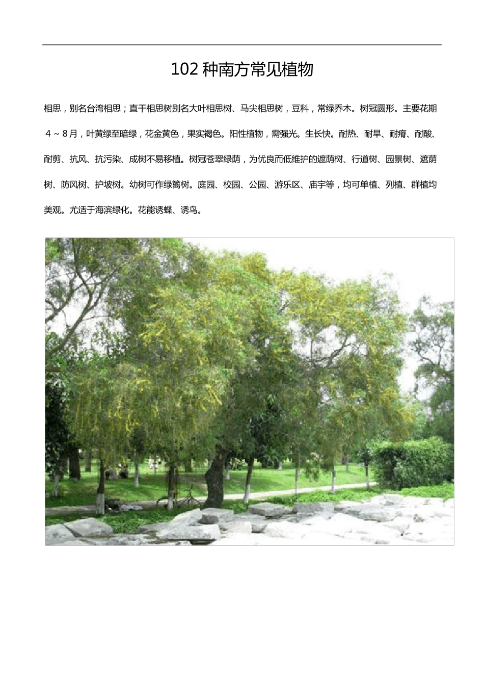 102种南方常见植物_第1页