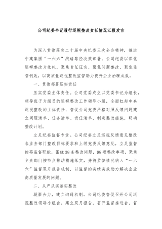 公司纪委书记履行巡视整改责任情况汇报发言