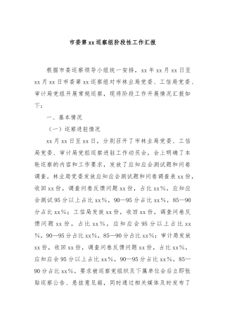 市委第xx巡察组阶段性工作汇报