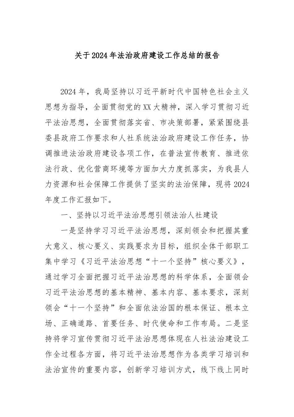 关于2024年法治政府建设工作总结的报告_第1页