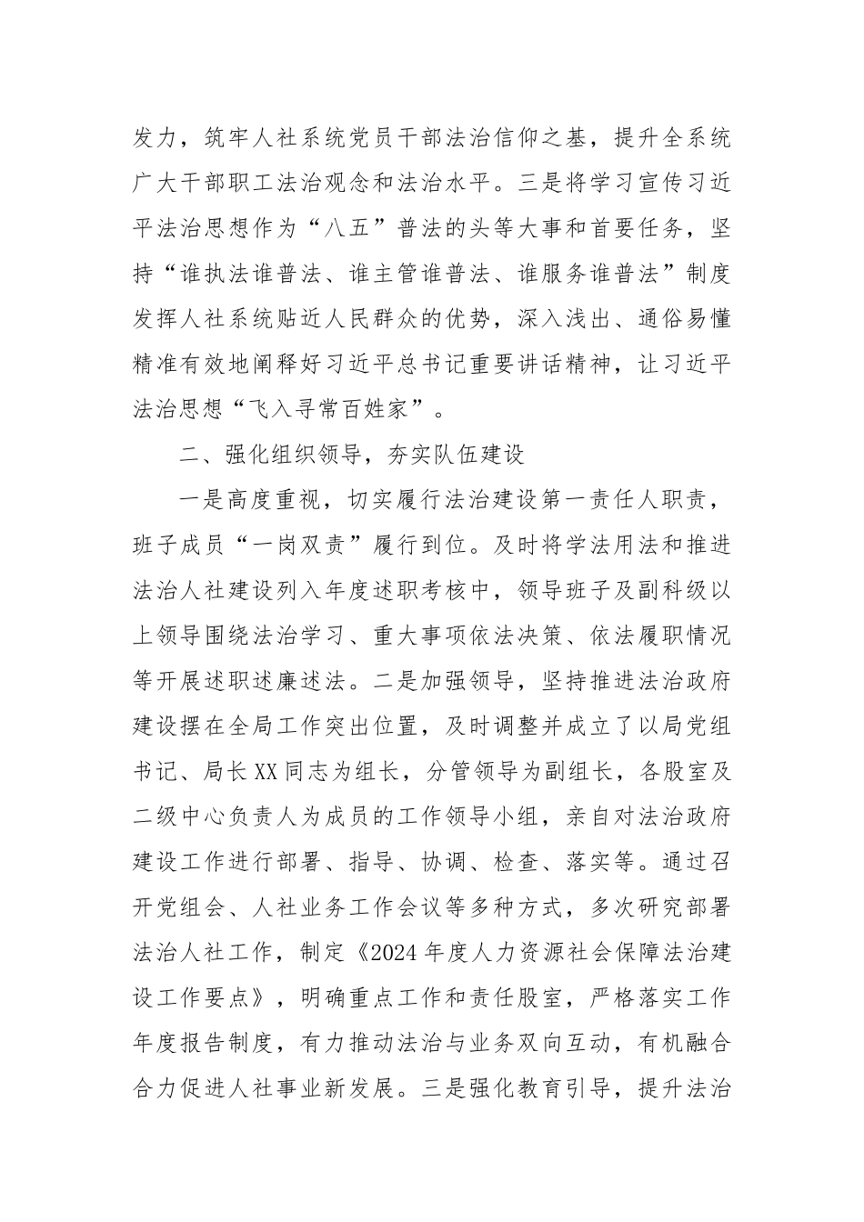 关于2024年法治政府建设工作总结的报告_第2页