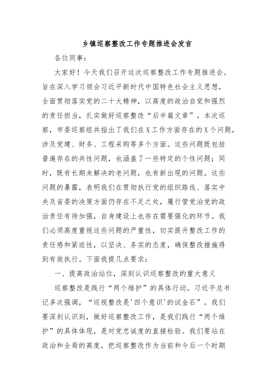 乡镇巡察整改工作专题推进会发言_第1页