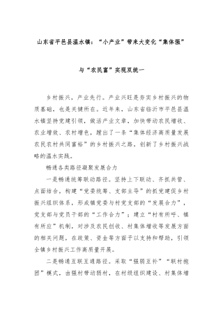 山东省平邑县温水镇：“小产业”带来大变化“集体强”与“农民富”实现双统一